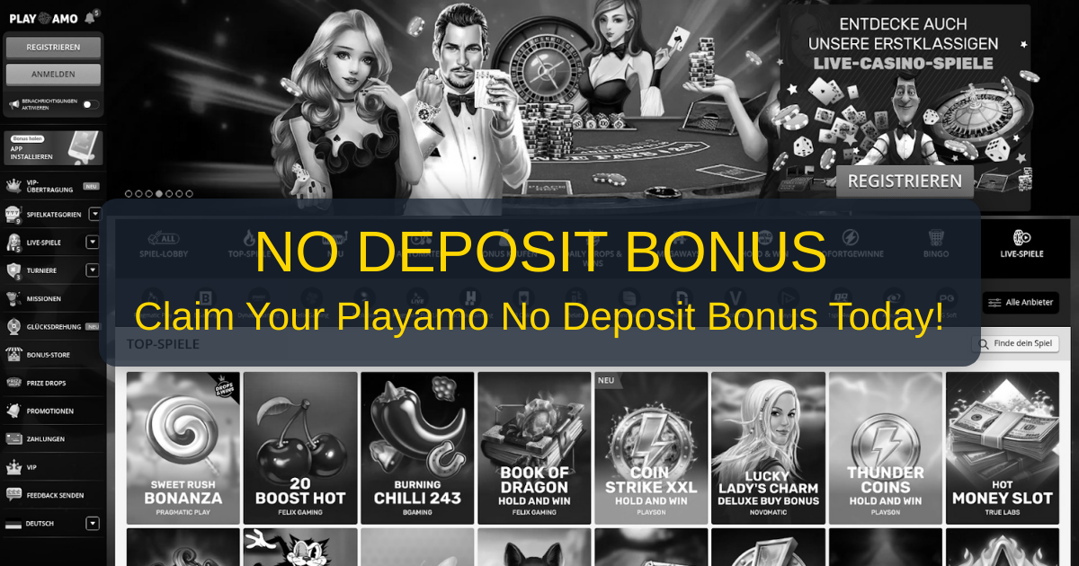 Playamo No Deposit Bonus and Promo Code Status